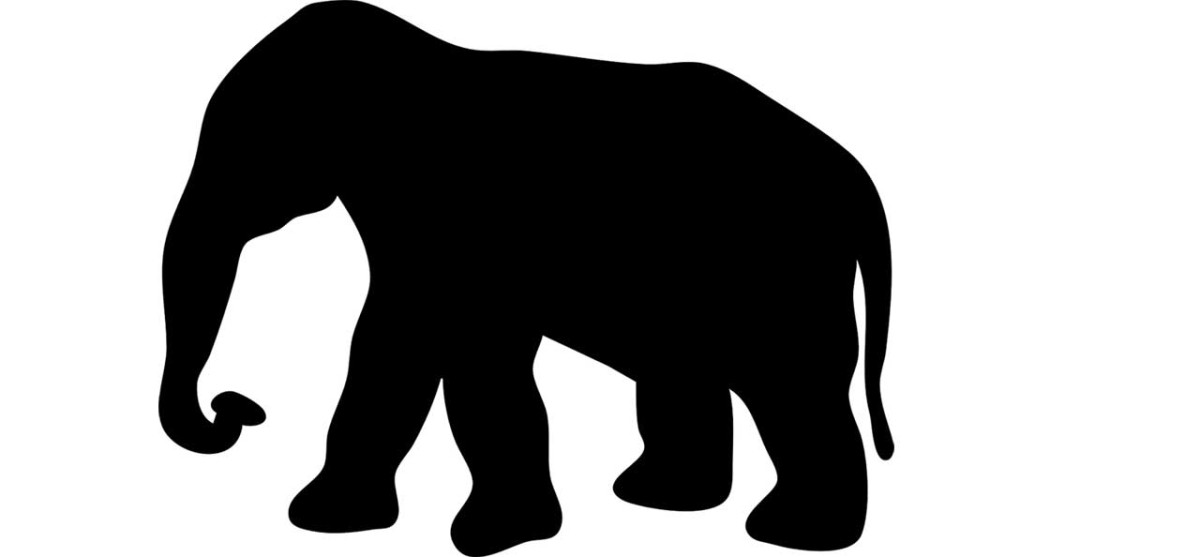 Der Elefant im Open Space. Ein Aufruf zur Teilnahme am Südtirolkonvent